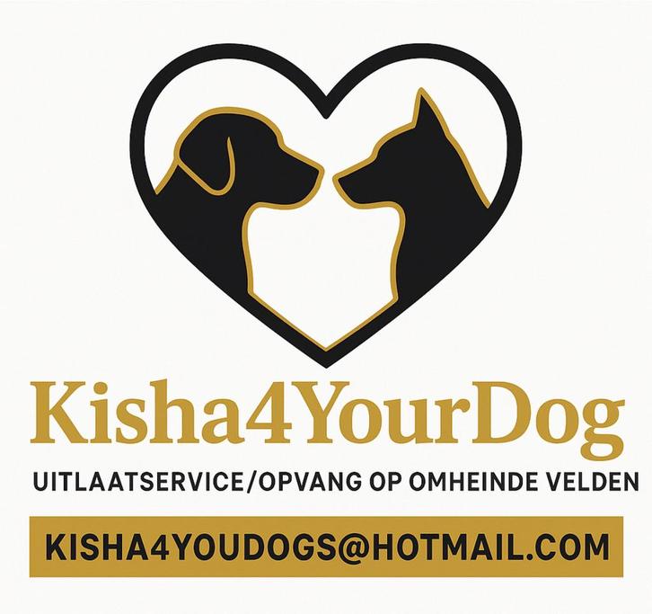 Vakantieopvang honden in huiselijke sfeer, Dieren en Toebehoren, Overige Dieren, Meerdere dieren, December