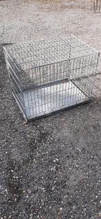 Bens, Dieren en Toebehoren, Ophalen