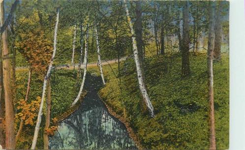 (388-325-029) Driebergen-Rijsenburg Boschkiekje, Verzamelen, Ansichtkaarten | Nederland, Utrecht, Verzenden