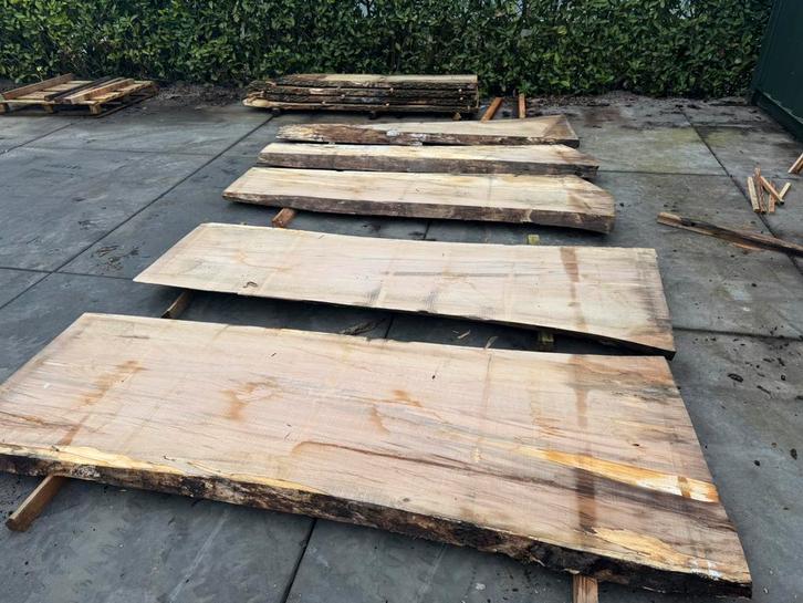 5 x grote beuken boomstambladen 250 euro voor alles !!, Tuin en Terras, Palen, Balken en Planken, Zo goed als nieuw, Planken, 250 cm of meer
