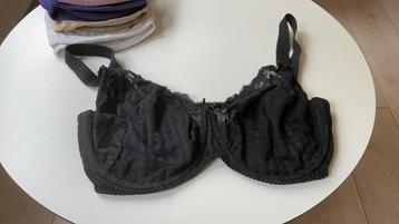 PRIMA DONNA.  madison 80F beschikbaar voor biedingen