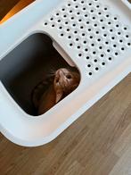 Kattenbak Hop In, Dieren en Toebehoren, Ophalen, Gebruikt, Open