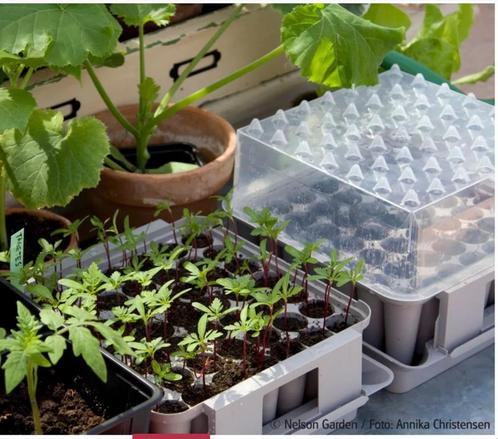 PluggBox 49 delige zaaibak ontkiem kit made in Sweden, Tuin en Terras, Bloempotten, Zo goed als nieuw, Minder dan 25 cm, Rond
