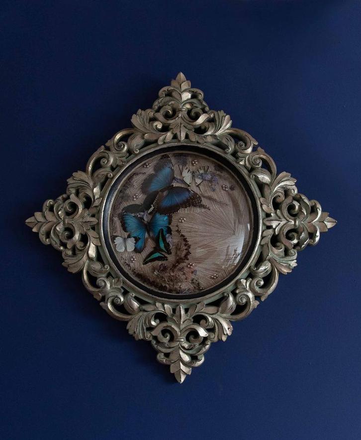 Barok stijl bollijst met (Morpho) vlinders en echte parels, Verzamelen, Dierenverzamelingen, Nieuw, Opgezet dier, Insect, Ophalen of Verzenden