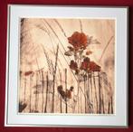 Adri van Daal bloemen seizoenen ingelijst photo-art, Antiek en Kunst, Kunst | Litho's en Zeefdrukken, Ophalen