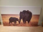 Grote Afrikaanse olifanten leeuwen neushoorn canvas, Huis en Inrichting, Woonaccessoires | Schilderijen, Tekeningen en Foto's