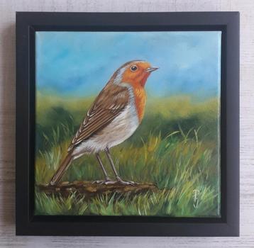 ROODBORSTJE ZIT IN HET GRAS>NATUUR>BIRD>MOOIE VOGEL beschikbaar voor biedingen