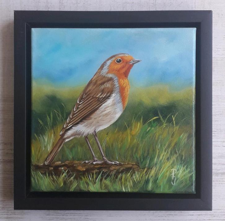 ROODBORSTJE ZIT IN HET GRAS>NATUUR>BIRD>MOOIE VOGEL, Antiek en Kunst, Kunst | Schilderijen | Klassiek, Ophalen of Verzenden