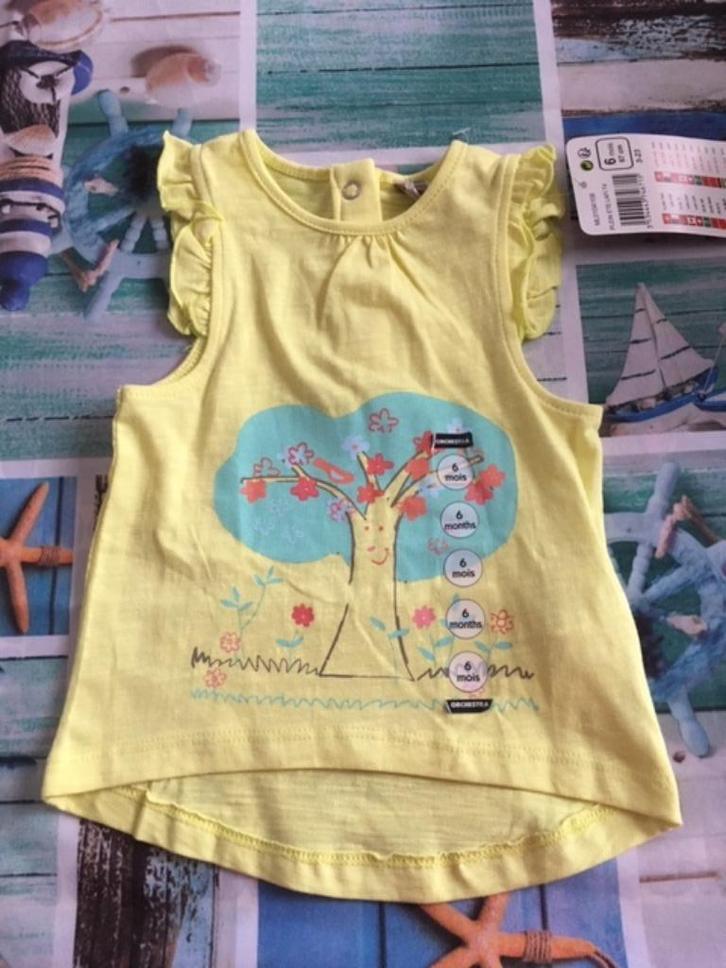 Nieuw geel topje met boom - Maat 67 cm ( 6 maanden ), Kinderen en Baby's, Babykleding | Maat 68, Nieuw, Meisje, Shirtje of Longsleeve
