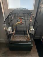 Tekoop valkparkiet en grasparkiet in kooi, Dieren en Toebehoren, Vogels | Hokken en Kooien, Ophalen, Zo goed als nieuw, Overige materialen