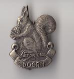 Doorn het Grote Bos broche Eekhoorn, Verzamelen, Speldjes, Pins en Buttons, Gebruikt, Niet vindbaar, Niet vindbaar, Speldje of Pin