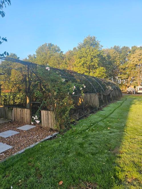 Grote Volière Koepel - 25x8x3m, Tuin en Terras, Kassen, Gebruikt, Kweekkas, Staal, Overige materialen, Ophalen