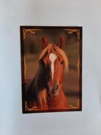 kaart paard veulen dier, Ophalen, 1980 tot heden, Ongelopen, Paard