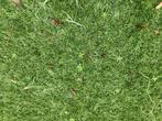 Kunstgras diepte reiniging mos onkruid in tuin of sportveld, Ophalen, Nieuw, Minder dan 10 m², Kunstgras