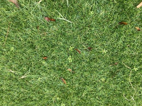 Kunstgras diepte reiniging mos onkruid in tuin of sportveld, Tuin en Terras, Gras en Kunstgras, Nieuw, Kunstgras, Minder dan 10 m²