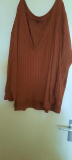3 delig huispak/ vrijetijdspak, Kleding | Dames, Grote Maten, Overige typen, Overige kleuren, Verzenden, Nieuw