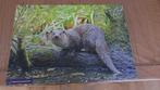Puzzels van Bever of Otter, 500 stukjes, Ophalen, 500 t/m 1500 stukjes, Gebruikt, Legpuzzel