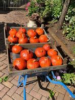 Pompoenen biologisch geteeld, Ophalen