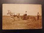 Fotokaart paard dorsmachine, Ophalen of Verzenden