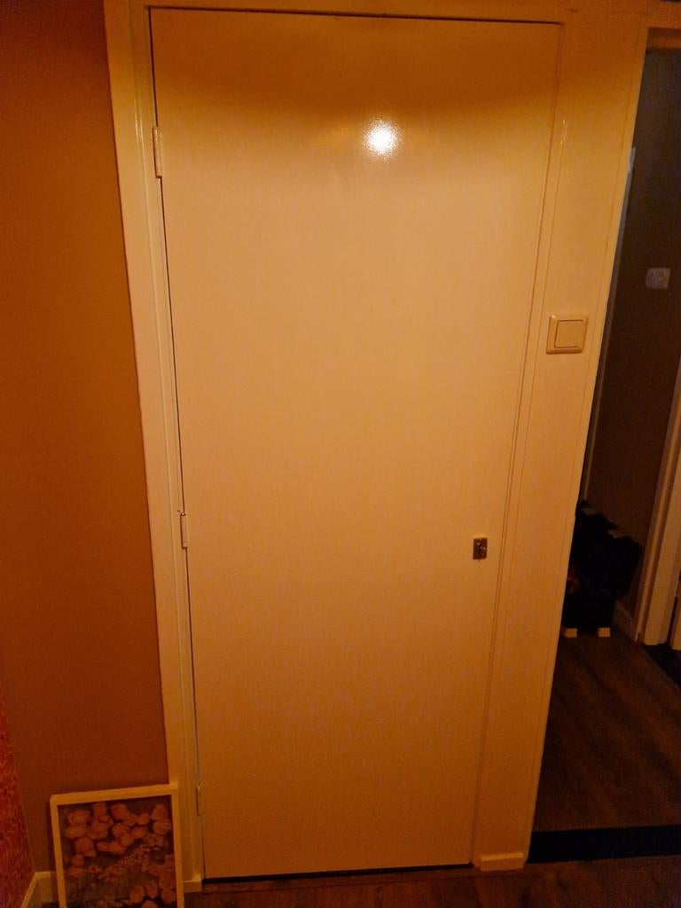 Inbouwkastdeur - 201x72.5 cm, Doe-het-zelf en Verbouw, Deuren en Horren, Ophalen, Minder dan 80 cm, Binnendeur, 200 tot 215 cm