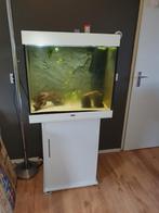 Juwel Lido 200 compleet VASTE PRIJS, Dieren en Toebehoren, Vissen | Aquaria en Toebehoren, Ophalen of Verzenden, Zo goed als nieuw