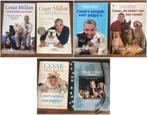 6 x Cesar Millan - puppy , leider, gids opvoeden hond, Ophalen, Zo goed als nieuw, Honden, Cesar Millan