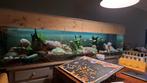 Groot aquarium, Ophalen, Zo goed als nieuw, Leeg aquarium