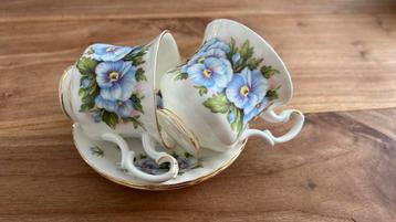 Bone China England, Remembrance Series, Tenderness