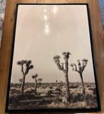 Lijst met foto, Ophalen, Overige materialen, Zo goed als nieuw, 75 cm of meer