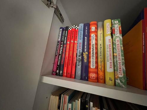 Diverse leesboeken jeugd; waanzinnige boomhut, Tik Tok, Game, Boeken, Kinderboeken | Jeugd | 10 tot 12 jaar, Zo goed als nieuw