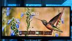 Philips 29" Ultrawide Monitor 2560x1080 60Hz AH-IPS 14ms, Ophalen, IPS, Overige resoluties, Ultrawide
