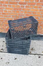 Kratjes / opslag / 50x30x24 / kist / krat / landbouw, Ophalen, Zo goed als nieuw, Krat, Minder dan 35 cm
