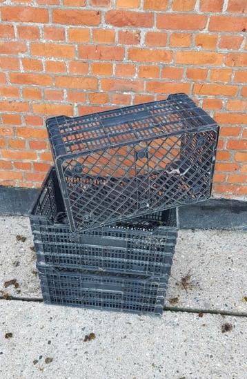 Kratjes / opslag / 50x30x24 / kist / krat / landbouw  beschikbaar voor biedingen