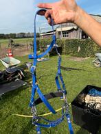Hackamore hoofdstel, Dieren en Toebehoren, Paarden en Pony's | Hoofdstellen en Tuigage, Ophalen, Gebruikt, Recreatie