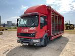 DAF LF 45.220 2009 Vrachtwagen, Auto's, Overige brandstoffen, Bedrijf, DAF, Te koop