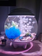 Biorb aquarium halo wit 15 liter, Ophalen, Zo goed als nieuw, Leeg aquarium