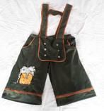 carnavalsbroek, Ophalen of Verzenden, Zo goed als nieuw, Carnaval, Kleding