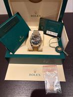 Rolex Datejust 41mm NL 2023 Nieuw, Ophalen, Rolex, Polshorloge, Nieuw