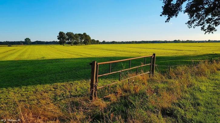 Weidegang GEZOCHT, eigen beheer 4 pony's, Dieren en Toebehoren, Stalling en Weidegang, Stalling, Weidegang, 4 paarden of pony's of meer