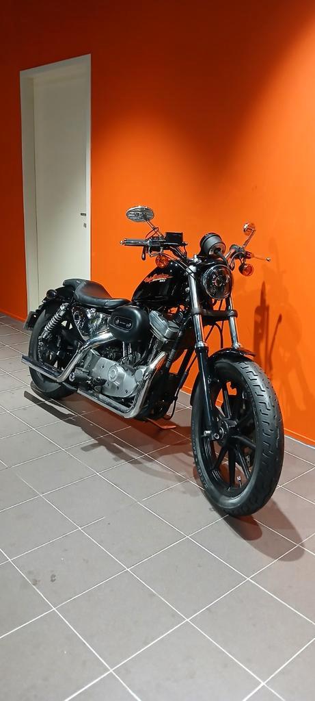 Harley-Davidson Sportster 883, Motoren, Motoren | Harley-Davidson, Bedrijf, Chopper, meer dan 35 kW, 2 cilinders, Ophalen