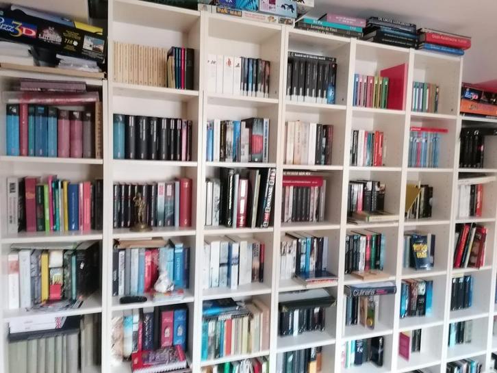 Ikea Billy Boekenkastenwand - 12 kasten, Huis en Inrichting, Kasten | Boekenkasten, Gebruikt, 200 cm of meer, 25 tot 50 cm, Met plank(en)