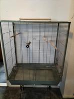 Grote vogelkooi (alleen op te halen), Dieren en Toebehoren, Vogels | Hokken en Kooien, Ophalen of Verzenden, Zo goed als nieuw