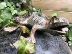 salamander,kado, Tuin en Terras, Tuinwanddecoratie, Nieuw, Ophalen of Verzenden