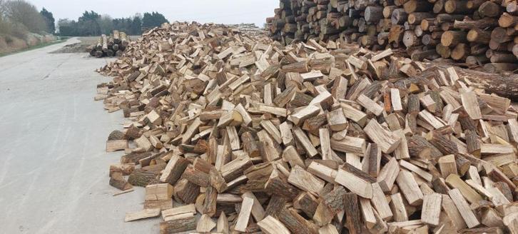 Mooie mix van hard en zachthout, Tuin en Terras, Haardhout, Blokken, Overige houtsoorten, 6 m³ of meer, Ophalen