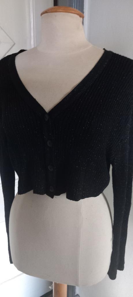 bolero vestje van Didi grote maat M zwart met zilver, Kleding | Dames, Truien en Vesten, Zo goed als nieuw, Maat 46/48 (XL) of groter