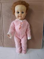 Pedigree pop jaren '50, Ophalen of Verzenden, Zo goed als nieuw, Pop