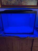 Superfish aquarium 68 x 50 x 35 cm., Dieren en Toebehoren, Ophalen, Zo goed als nieuw, Leeg aquarium