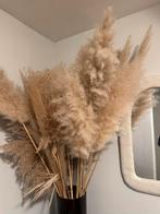 Decoratieve bos pampasgras, Ophalen, Gebruikt
