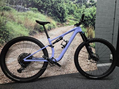 Specialized EPIC EVO comp M "demo", Fietsen en Brommers, Fietsen | Mountainbikes en ATB, Zo goed als nieuw, Overige merken, 49 tot 53 cm