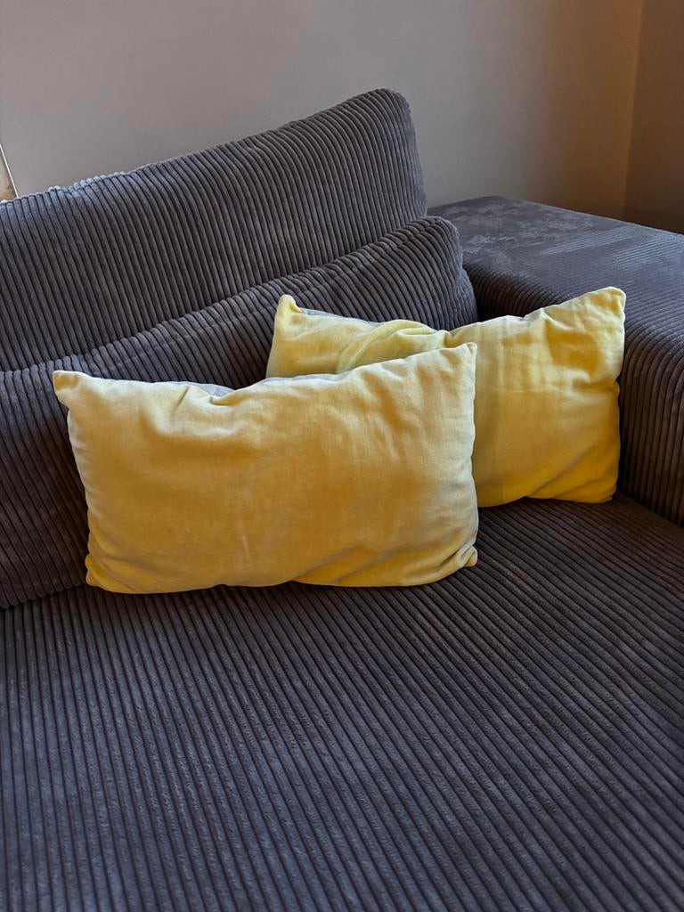 Lichtgele sierkussens 50x30 cm - fluweel zacht, Ophalen, Zo goed als nieuw, Geel, Rechthoekig